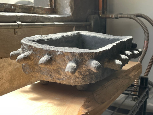 Bonsai III