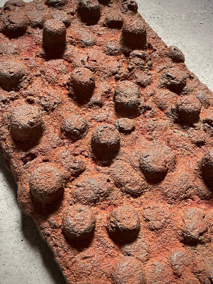 Portal I – Beginnings