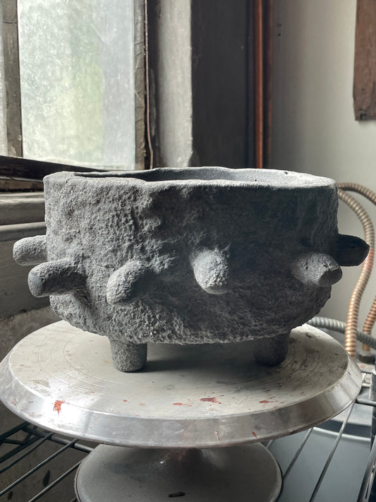Bonsai II
